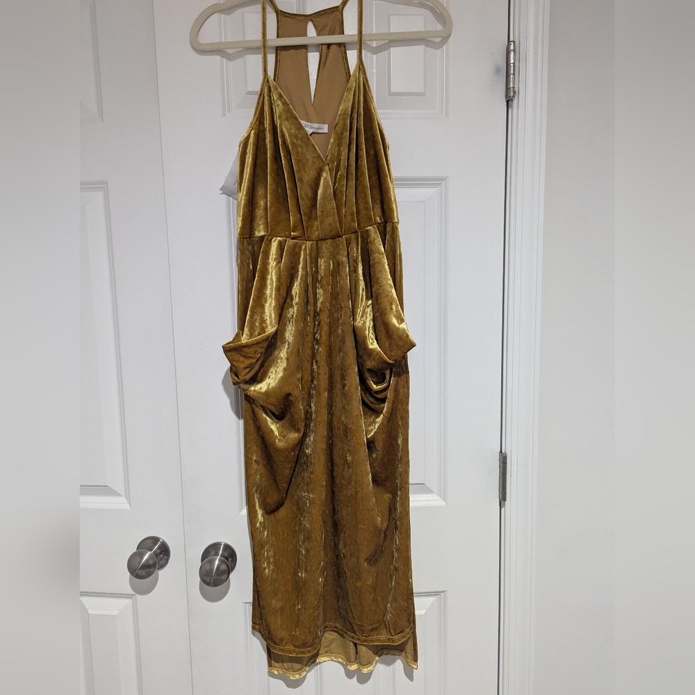 BCBG Velvet Draped Dress